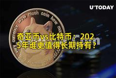 奇亚币vs比特币：2026年谁更值得长期持有？