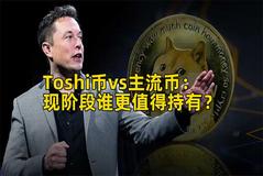 Toshi币vs主流币：现阶段谁更值得持有？