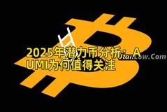 2025年潜力币分析：AUMI为何值得关注