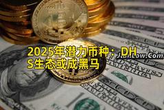 2025年潜力币种：DHS生态或成黑马