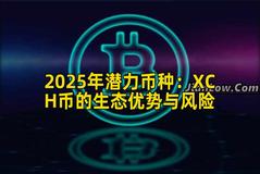2025年潜力币种：XCH币的生态优势与风险