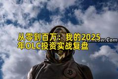 从零到百万：我的2025年OLC投资实战复盘