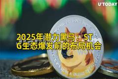 2025年潜力黑马：STG生态爆发前的布局机会