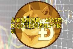 从暴涨到回调：2025年Doge币投资者的3个教训