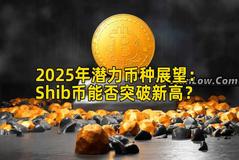 2025年潜力币种展望：Shib币能否突破新高？