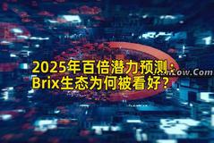 2025年百倍潜力预测：Brix生态为何被看好？