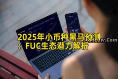 2025年小币种黑马预测：FUC生态潜力解析