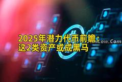 2025年潜力代币前瞻：这2类资产或成黑马