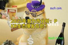 2025年潜力币分析：PKR生态爆发在即？
