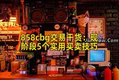 858cbg交易干货：现阶段5个实用买卖技巧