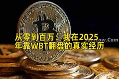 从零到百万：我在2025年靠WBT翻盘的真实经历