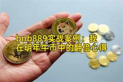 bnb889实战案例：我在明年牛市中的翻倍心得