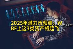 2025年潜力币预测：WBF上这3类资产将起飞