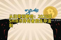 从归零到翻倍：2025年SHIB币持有者的生存法则