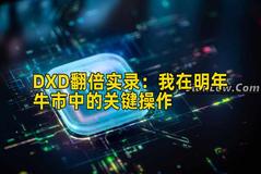 DXD翻倍实录：我在明年牛市中的关键操作
