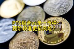 PTS组合vs单一币种：现阶段谁更抗风险？