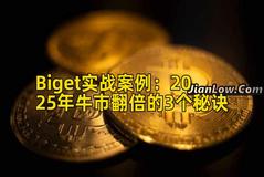 Biget实战案例：2025年牛市翻倍的3个秘诀