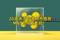 2025年百倍潜力币预测：MNT为何被看好？