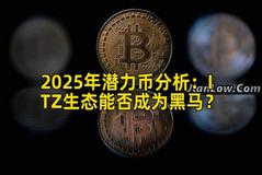 2025年潜力币分析：ITZ生态能否成为黑马？