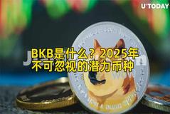 BKB是什么？2025年不可忽视的潜力币种