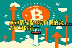 WSB情绪指标现阶段的实战应用指南