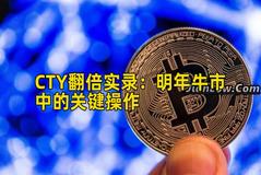 CTY翻倍实录：明年牛市中的关键操作