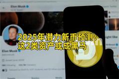 2025年潜力新币预测：这2类资产或成黑马