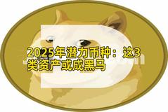 2025年潜力币种：这3类资产或成黑马
