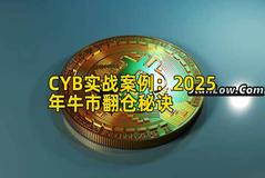 CYB实战案例：2025年牛市翻仓秘诀