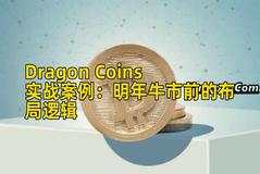 Dragon Coins实战案例：明年牛市前的布局逻辑