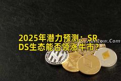 2025年潜力预测：SRDS生态能否领涨牛市？