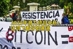 2025年潜力项目分析：达鸿飞看好的赛道