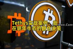 Tethys实战案例：我在明年牛市的翻仓决策