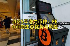 2025年潜力币种：FEG币的生态优势与风险