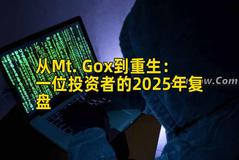 从Mt. Gox到重生：一位投资者的2025年复盘