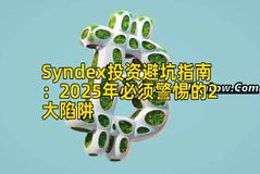 Syndex投资避坑指南:2025年必须警惕的2大陷阱 Syndex投资避坑指南:2025年必须警惕的2大陷阱