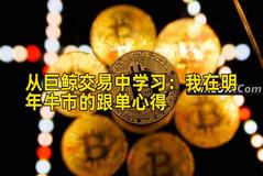 从巨鲸交易中学习：我在明年牛市的跟单心得