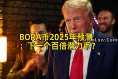 BORA币2025年预测：下一个百倍潜力币？