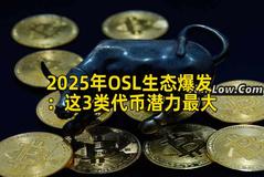 2025年OSL生态爆发：这3类代币潜力最大