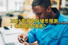 2025年潜力存储币预测：Chia能否领涨？