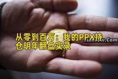 从零到百万：我的PPX持仓明年翻盘实录