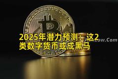 2025年潜力预测：这2类数字货币或成黑马