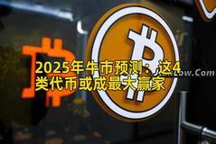 2025年牛市预测：这4类代币或成最大赢家