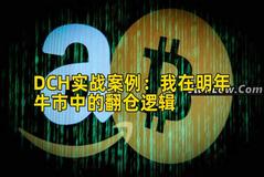 DCH实战案例：我在明年牛市中的翻仓逻辑