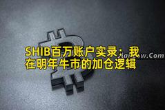 SHIB百万账户实录：我在明年牛市的加仓逻辑