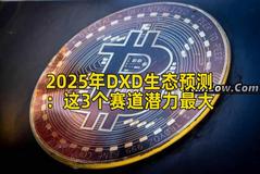 2025年DXD生态预测：这3个赛道潜力最大