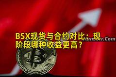 BSX现货与合约对比：现阶段哪种收益更高？