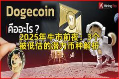 2025年牛市前夜：3个被低估的潜力币种解析