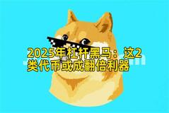 2025年杠杆黑马：这2类代币或成翻倍利器