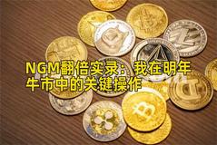 NGM翻倍实录：我在明年牛市中的关键操作